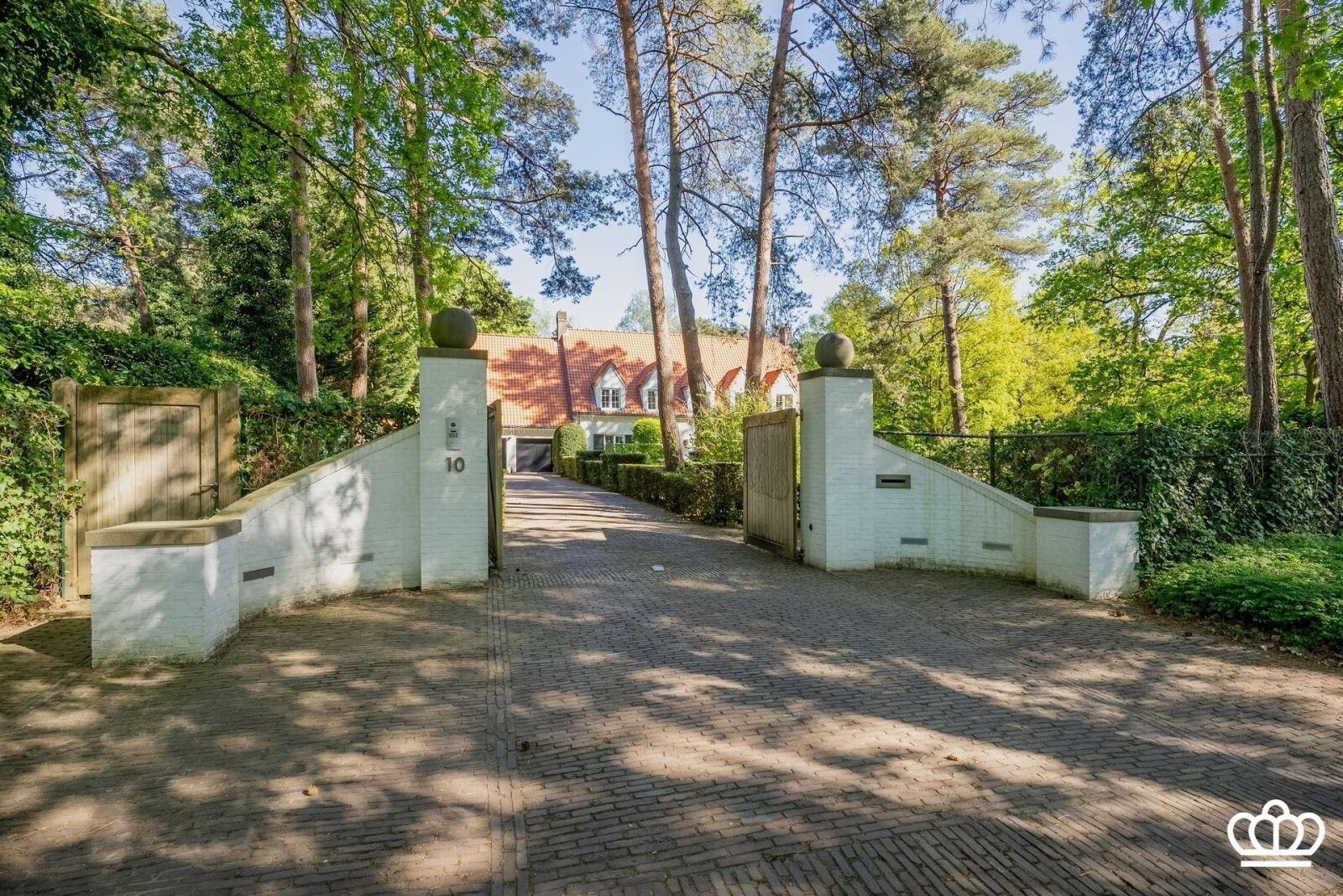 1959 41